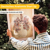 Menschliche Skelett - Animus Medicus GmbH