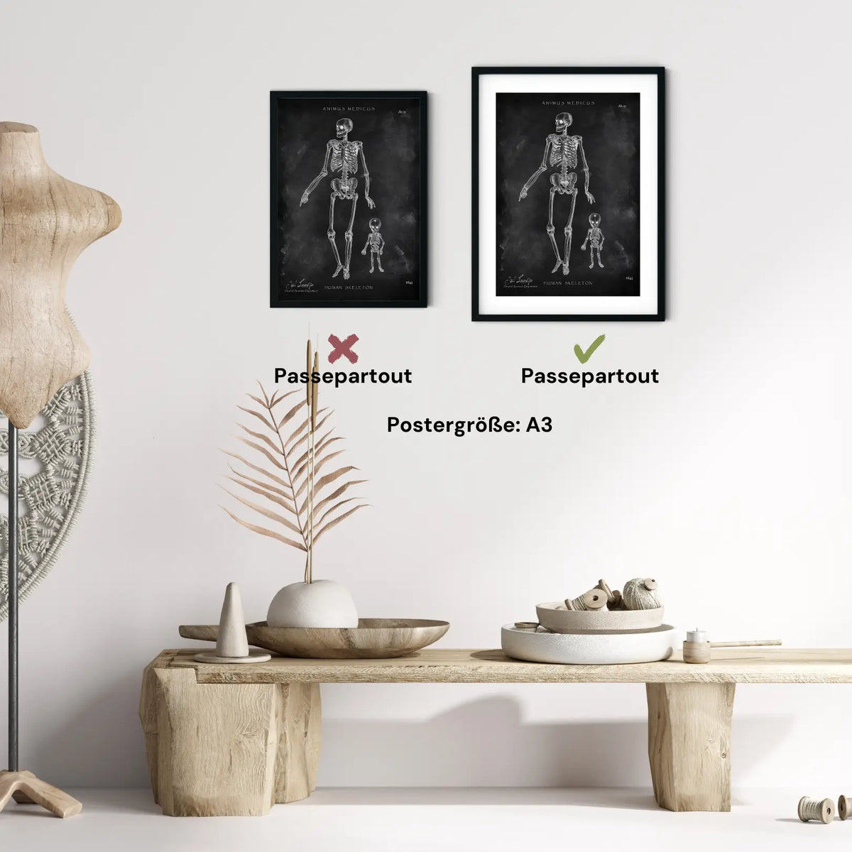 Menschliche Skelett - Chalkboard - Animus Medicus GmbH