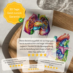 Muskeln Anatomie - Animus Medicus GmbH