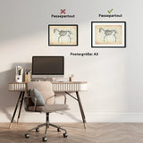 Pferde Anatomie - Animus Medicus GmbH