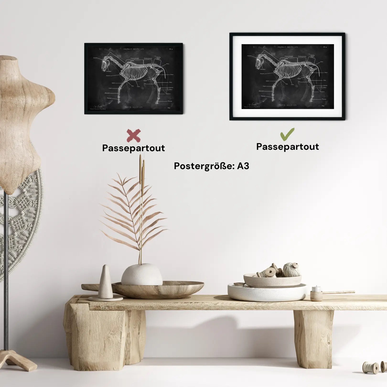 Pferde Anatomie - Chalkboard - Animus Medicus GmbH