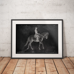 Reiten Anatomie Poster - Chalkboard - Animus Medicus GmbH