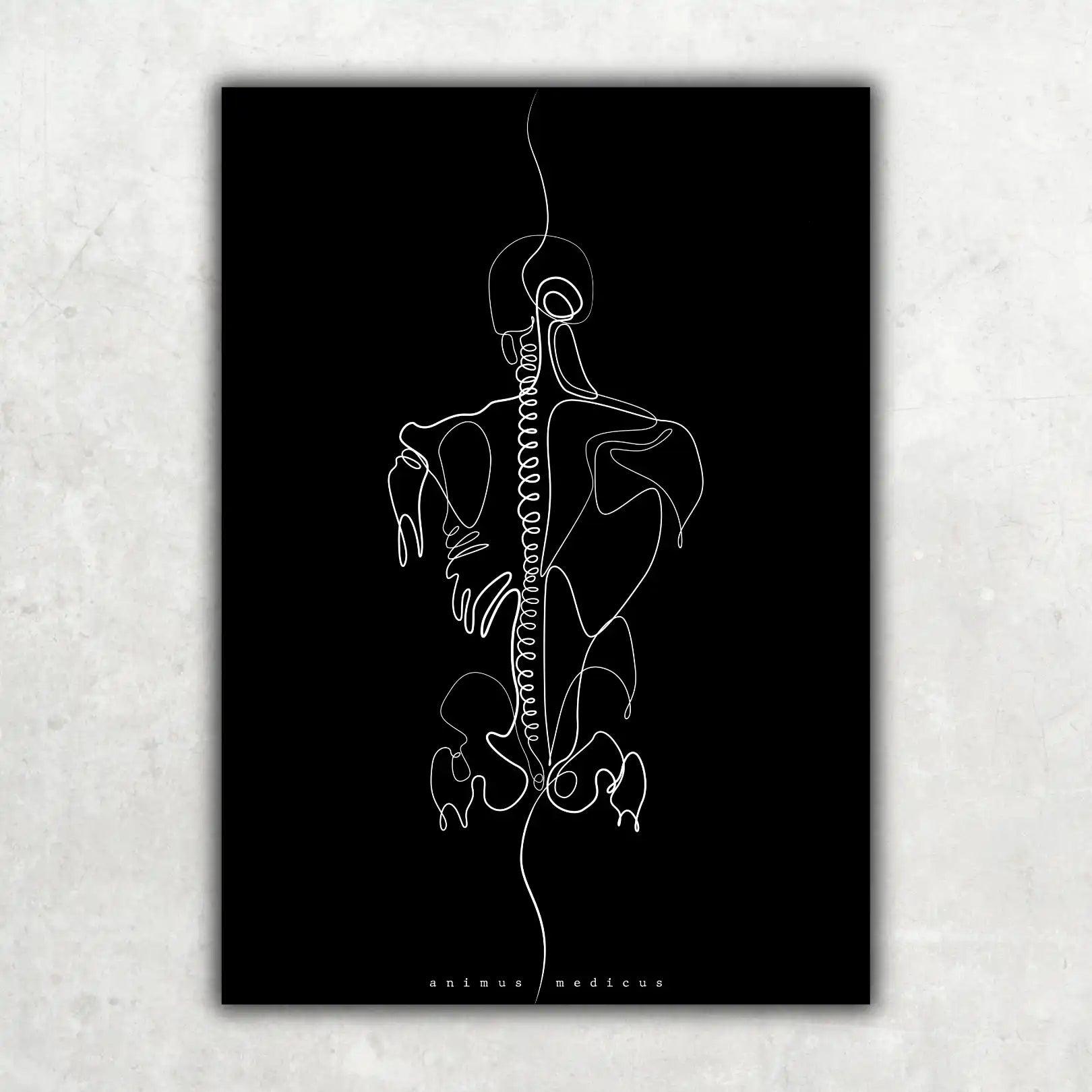 Rücken Anatomie Minimalist Dark - Animus Medicus GmbH