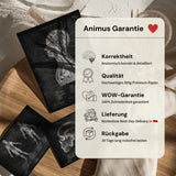 Schädelbasis Anatomie - Animus Medicus GmbH