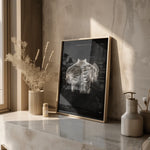 Schulter Anatomie Sammlung - Chalkboard - Animus Medicus GmbH