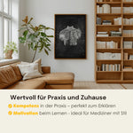 Schulter Muskulatur - Chalkboard - Animus Medicus GmbH