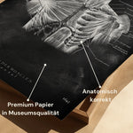 Schulter Muskulatur - Chalkboard - Animus Medicus GmbH