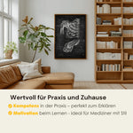 Schultergelenk Anatomie - Chalkboard - Animus Medicus GmbH