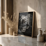 Schultergelenk Anatomie - Chalkboard - Animus Medicus GmbH