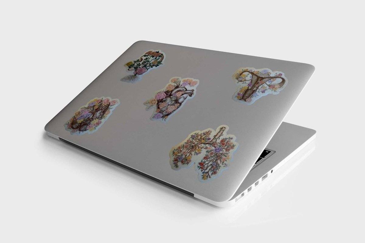 Sticker Set - Flower Edition - Animus Medicus GmbH