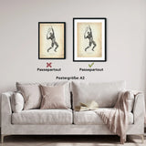 Tennis Anatomie Poster - Animus Medicus GmbH