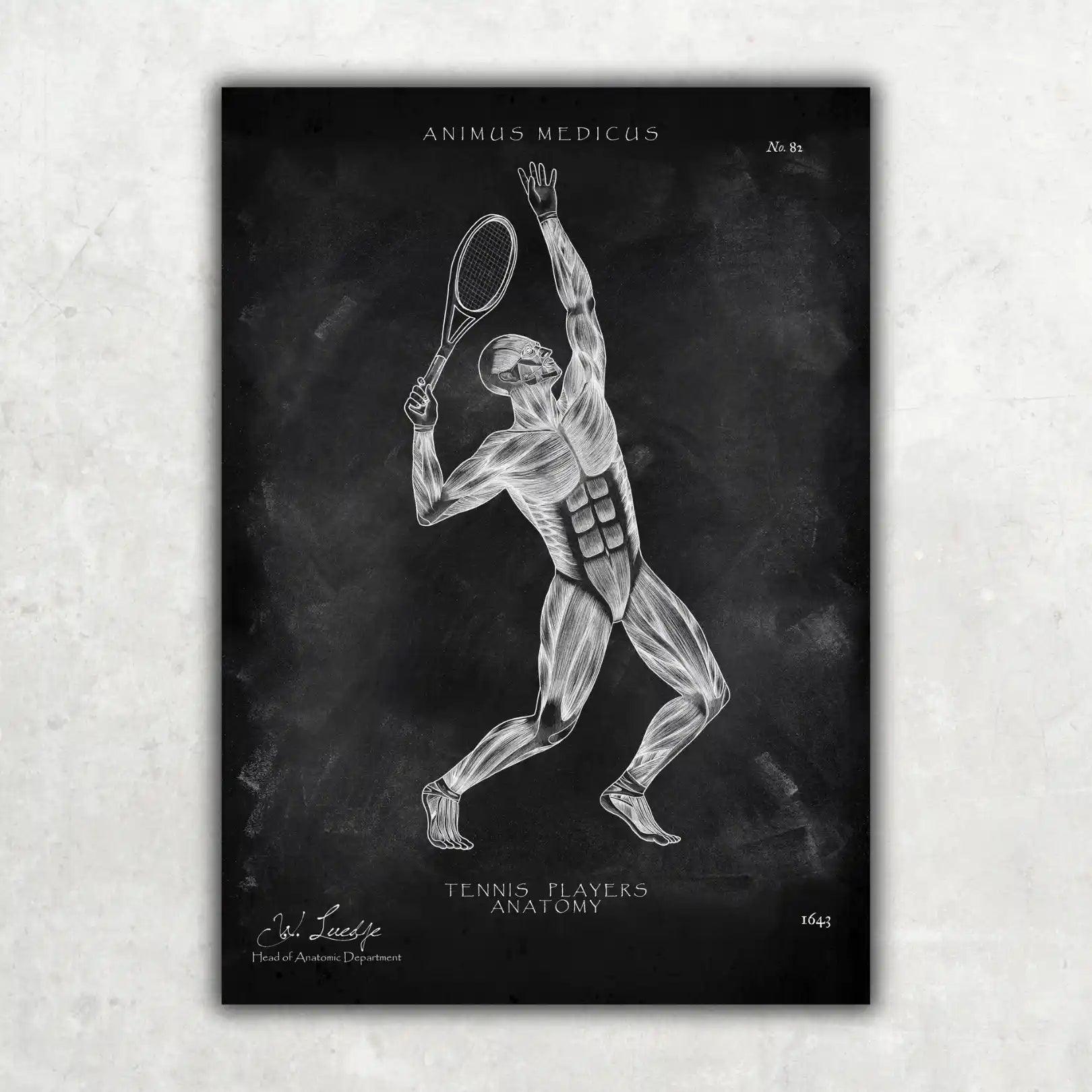 Tennis Anatomie Poster - Chalkboard - Animus Medicus GmbH