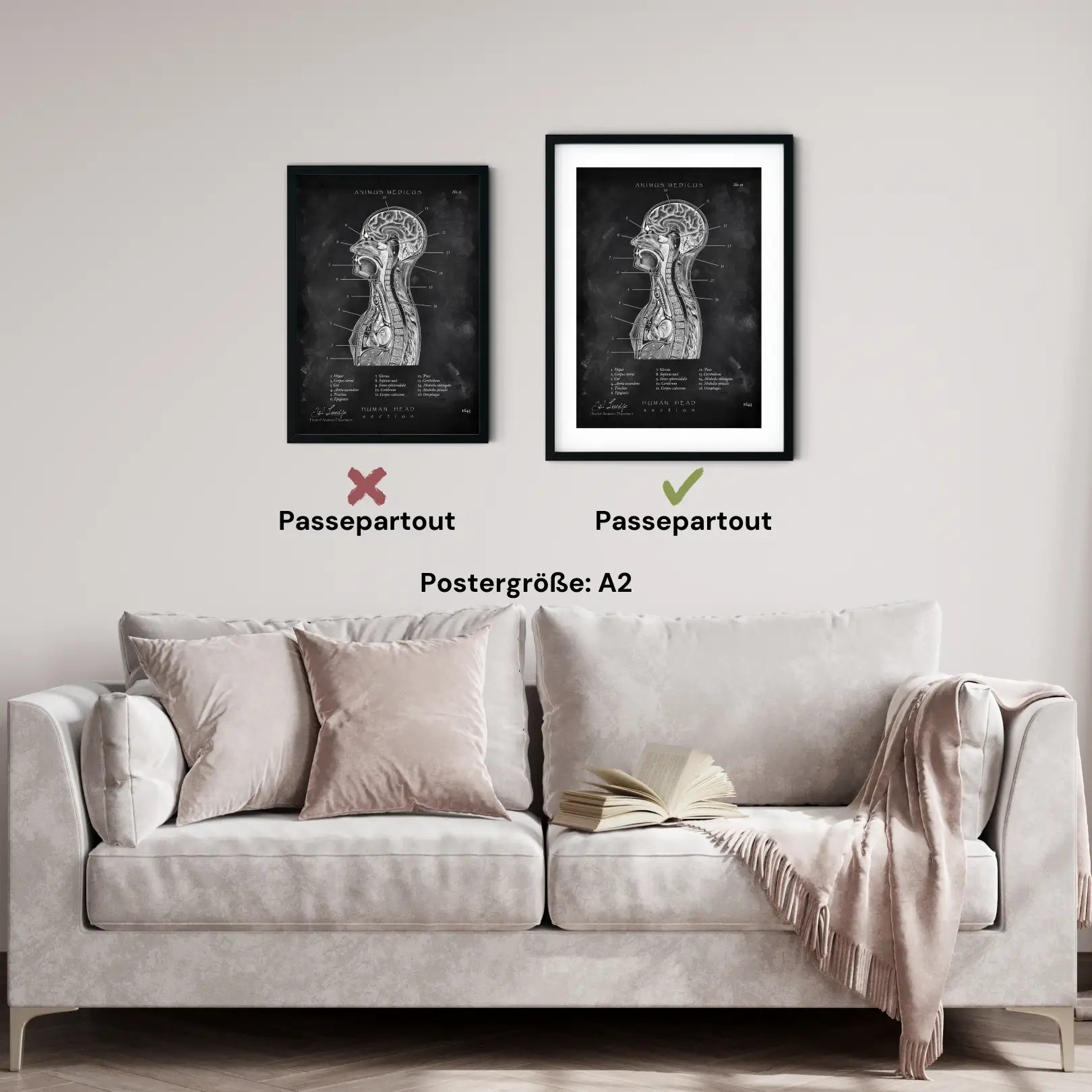 Thorax Anatomie - Chalkboard - Animus Medicus GmbH