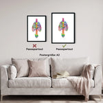 Thorax Anatomie - Rainbow - Animus Medicus GmbH