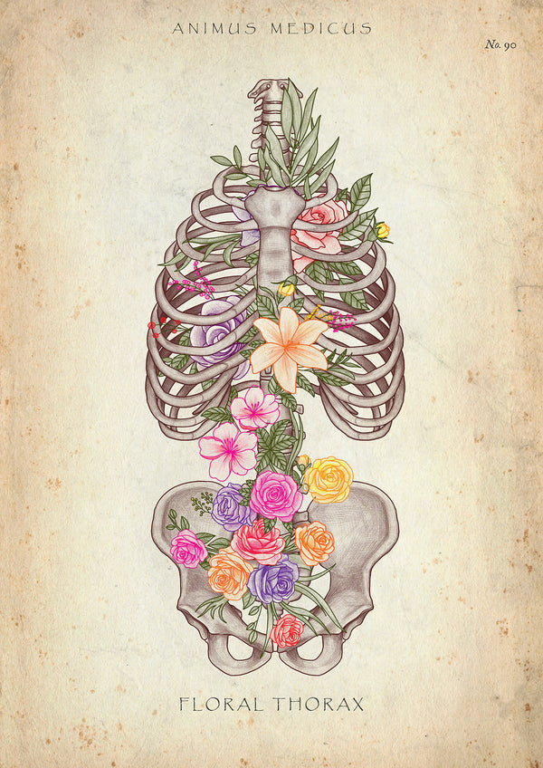 Thorax mit Blumen