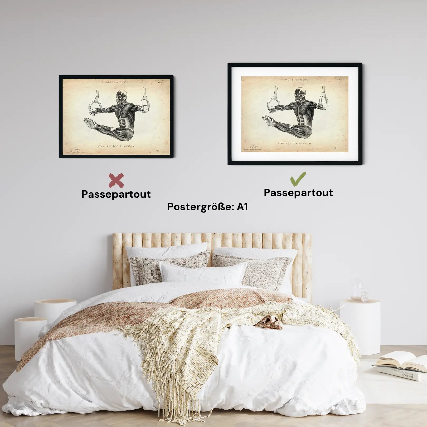 Turnen Anatomie Poster - Animus Medicus GmbH