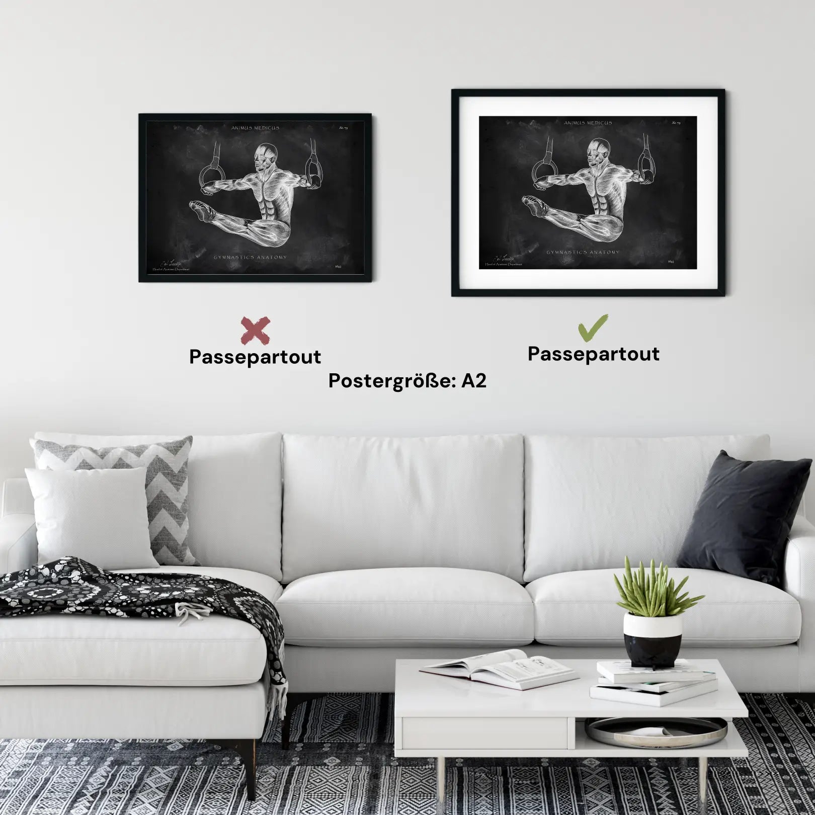 Turnen Anatomie Poster - Chalkboard - Animus Medicus GmbH