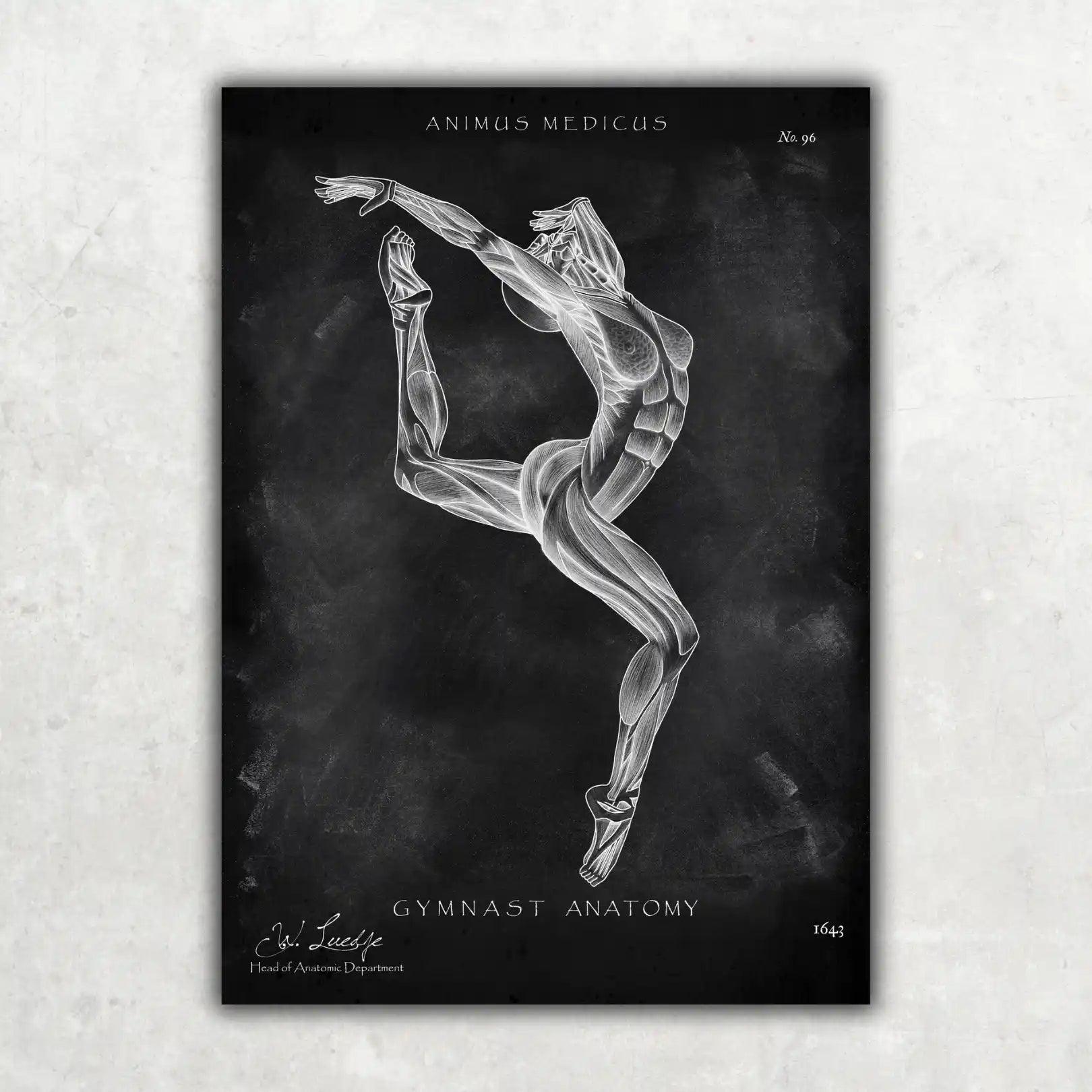 Turnen Anatomie Poster II - Chalkboard - Animus Medicus GmbH