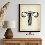 Uterus Anatomie - Animus Medicus GmbH