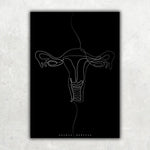 Uterus Anatomie Minimalist Dark - Animus Medicus GmbH