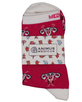Uterus Anatomie Socken aus Bio-Baumwolle - Animus Medicus GmbH