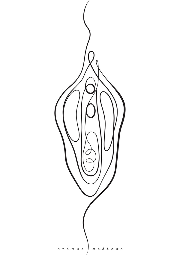 Vulva Anatomie Minimalist