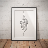 Vulva Anatomie Minimalist