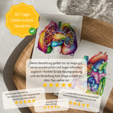 Vulva Anatomie Minimalist - Animus Medicus GmbH
