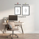 Vulva Anatomie Minimalist - Animus Medicus GmbH