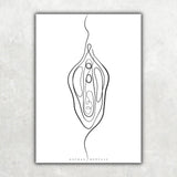 Vulva Anatomie Minimalist - Animus Medicus GmbH