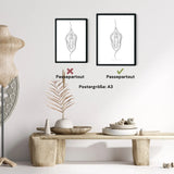 Vulva Anatomie Minimalist - Animus Medicus GmbH