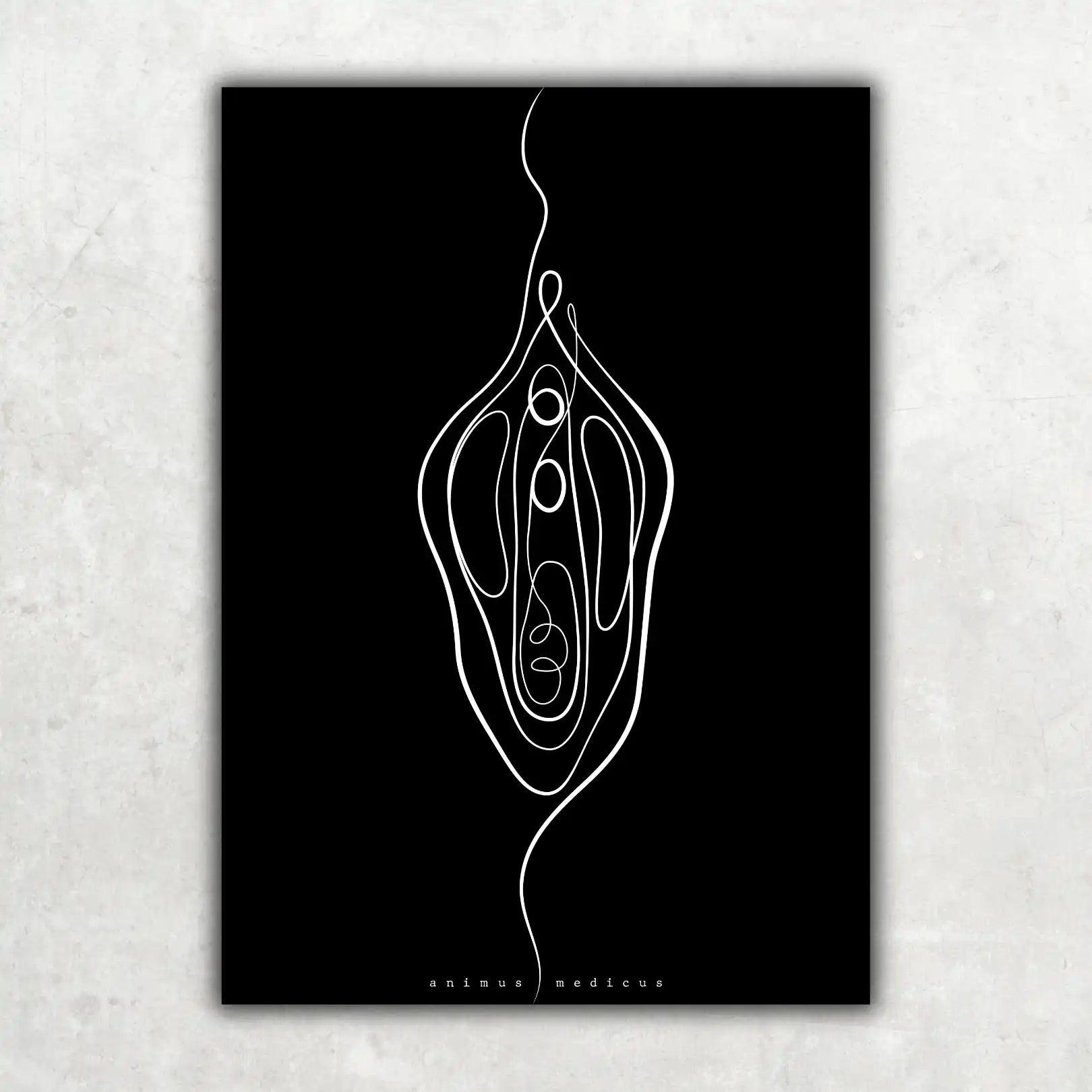 Vulva Anatomie Minimalist Dark - Animus Medicus GmbH