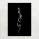 Wirbelsäule Anatomie Minimalist Dark - Animus Medicus GmbH