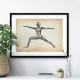 Yoga Anatomie Poster - Animus Medicus GmbH