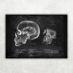 Zahnarzt Sammlung - Chalkboard - Animus Medicus GmbH