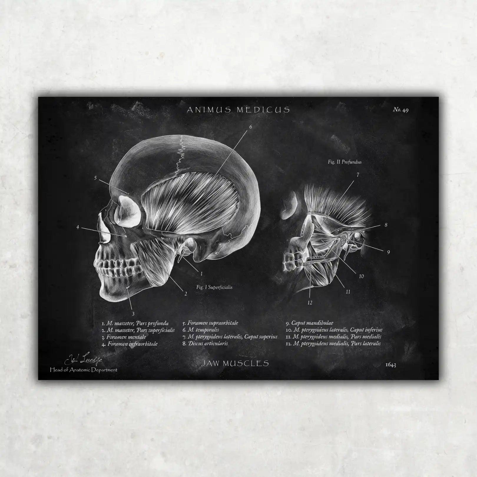 Zahnarzt Sammlung - Chalkboard - Animus Medicus GmbH