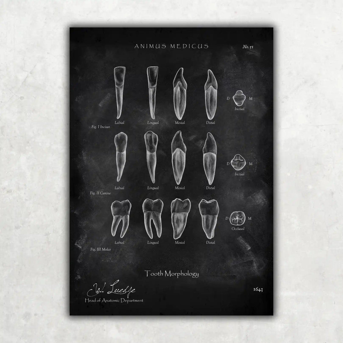 Zahnarzt Sammlung - Chalkboard - Animus Medicus GmbH